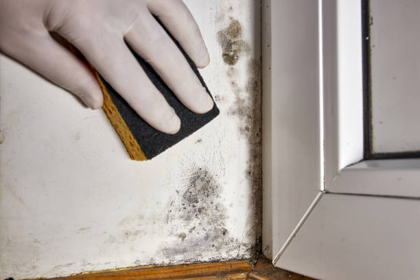 Best Residential Mold Inspection & Testing  in Baldwin, GA