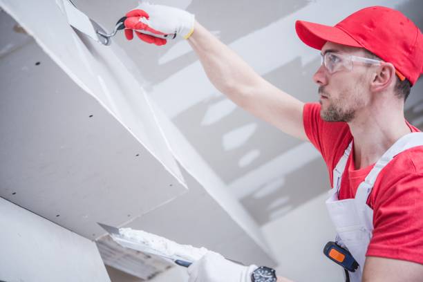  Baldwin, GA Mold Removal Pros